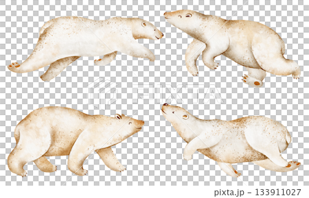 Polar bear illustration set in watercolor. Includes walking and swimming poses. Isolated animal on white background, hand-drawn, cartoon, artistic elements. 133911027