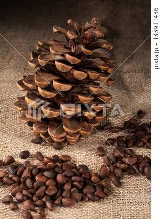Artistic arrangement of pine cone and pine nuts on a textured burlap napkin Artistic arrangement of pine cone and pine nuts on a textured burlap napkin 133911436