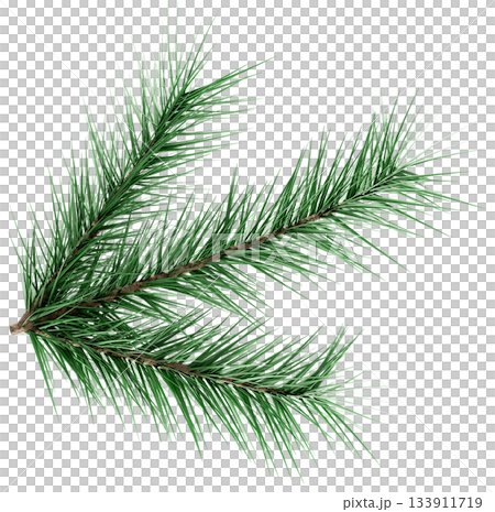 3D Realistic Evergreen Pine Tree Branch with Green Needles for Christmas Decoration 3D Realistic Evergreen Pine Tree Branch with Green Needles for Christmas Decoration 133911719