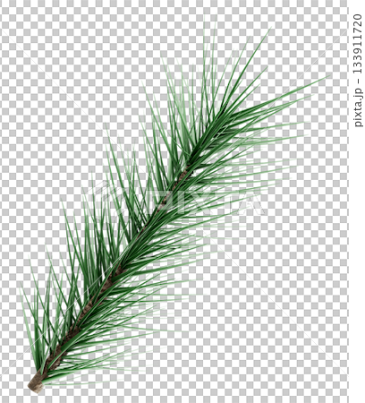 3D Realistic Evergreen Pine Tree Branch with Green Needles for Christmas Decoration 3D Realistic Evergreen Pine Tree Branch with Green Needles for Christmas Decoration 133911720