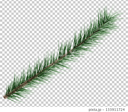 3D Realistic Evergreen Pine Tree Branch with Green Needles for Christmas Decoration 3D Realistic Evergreen Pine Tree Branch with Green Needles for Christmas Decoration 133911724