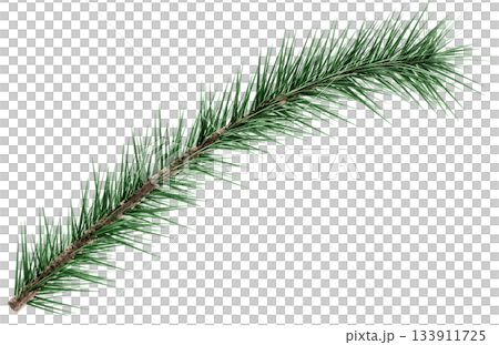 3D Realistic Evergreen Pine Tree Branch with Green Needles for Christmas Decoration 3D Realistic Evergreen Pine Tree Branch with Green Needles for Christmas Decoration 133911725