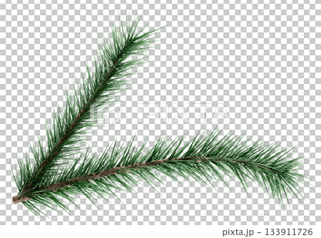 3D Realistic Evergreen Pine Tree Branch with Green Needles for Christmas Decoration 3D Realistic Evergreen Pine Tree Branch with Green Needles for Christmas Decoration 133911726