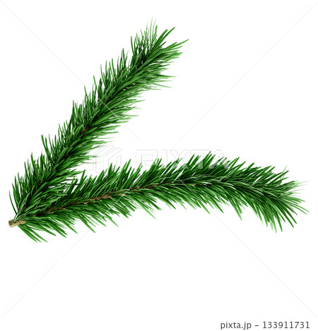 3D Realistic Evergreen Pine Tree Branch with Green Needles for Christmas Decoration 133911731