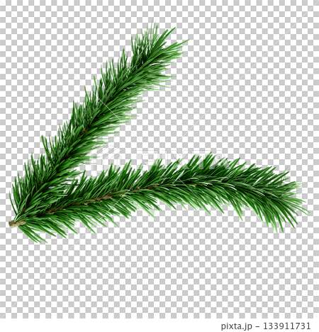 3D Realistic Evergreen Pine Tree Branch with Green Needles for Christmas Decoration 133911731