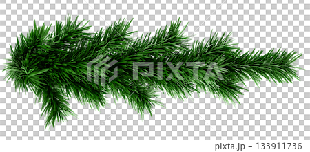 3D Realistic Christmas Garland Made of Evergreen Pine Branch with Green Needles for Decoration 3D Realistic Christmas Garland Made of Evergreen Pine Branch with Green Needles for Decoration 133911736