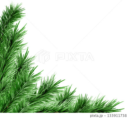 3D Realistic Christmas Fir Branch Corner Made of Evergreen Pine Branch with Green Needles for Decoration 133911738