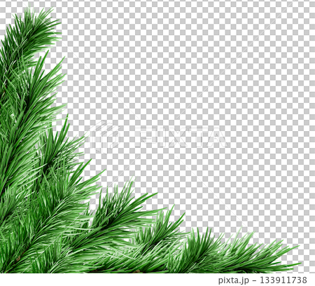 3D Realistic Christmas Fir Branch Corner Made of Evergreen Pine Branch with Green Needles for Decoration 133911738