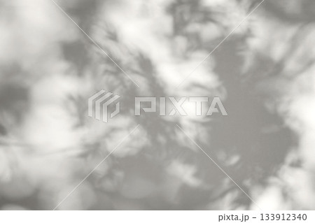 Demonstrating the colors of 2026 - Cloud Dancer. Shadows of branch and leaves tree on wall with light bokeh. Abstract shadow and light blurred background. Demonstrating the colors of 2026 - Cloud Dancer. Shadows of branch and leaves tree on wall with light bokeh. Abstract shadow and light blurred background. 133912340