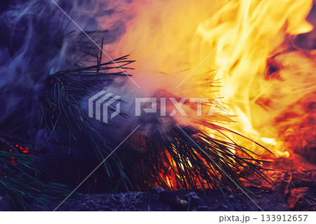 Burning pine branches.Terrible forest fire 133912657