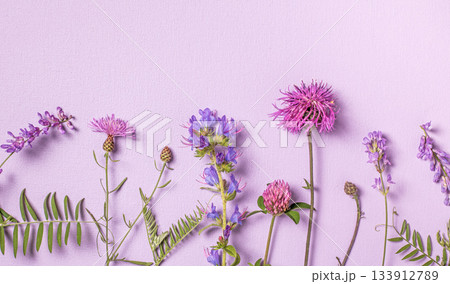 A vibrant row of bright wildflowers against a soft pastel background A vibrant row of bright wildflowers against a soft pastel background 133912789