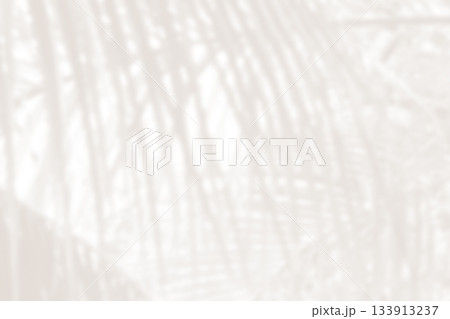 Cloud dancer color palm leaf blur. Monocrome texture 2026. Color of the year. 133913237