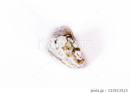 Macro mineral stone Jasper oceanic on a white background 133913523