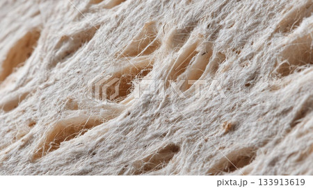 Close-Up Textured Surface Fibrous, Beige, and Organic Details 133913619