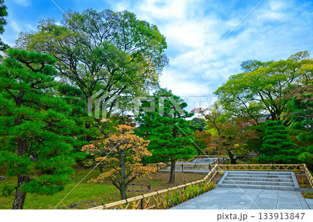 総本山智積院　智積院の参道と紅葉 133913847