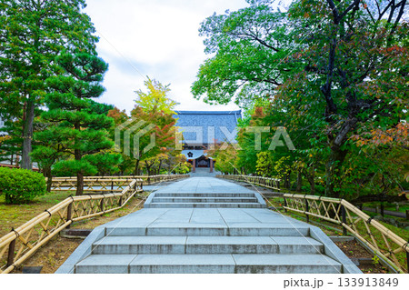 総本山智積院 智積院の金堂への参道と紅葉 総本山智積院 智積院の金堂への参道と紅葉 133913849