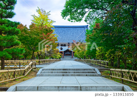 総本山智積院　智積院の金堂への参道と紅葉 133913850