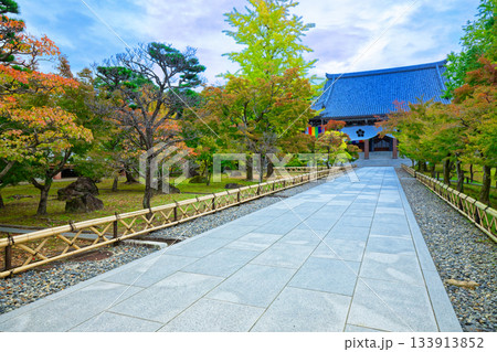 総本山智積院 智積院の金堂への参道と紅葉 総本山智積院 智積院の金堂への参道と紅葉 133913852