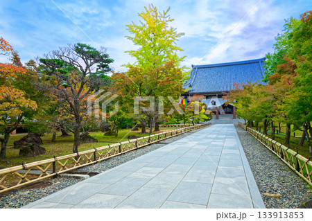 総本山智積院　智積院の金堂への参道と紅葉 133913853