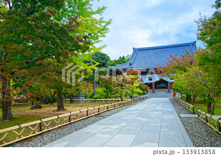 総本山智積院　智積院の金堂への参道と紅葉 133913858