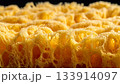Close-up of a Yellow Natural Sea Sponge 133914097