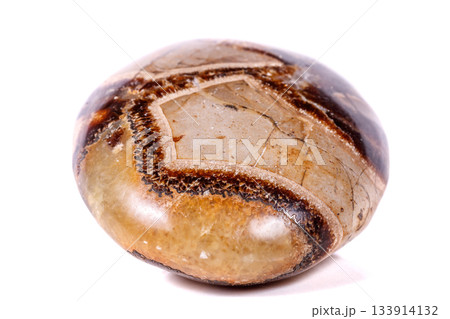 Macro mineral stone Simbirzit and Septaria on white background Macro mineral stone Simbirzit and Septaria on white background 133914132