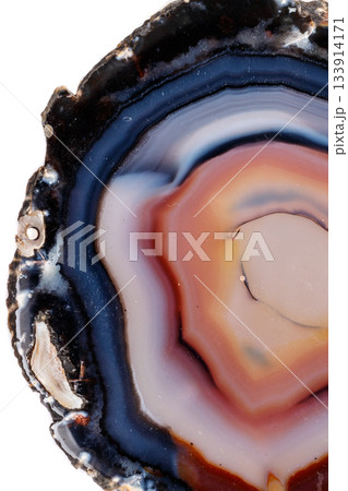 Macro mineral stone Yellow, brown Agate breed a white background 133914171