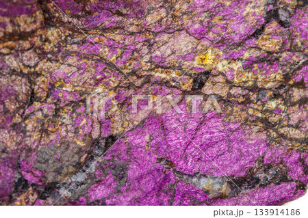 Macro mineral stone purpureus, (purple) purpurite in the breed a white background Macro mineral stone purpureus, (purple) purpurite in the breed a white background 133914186