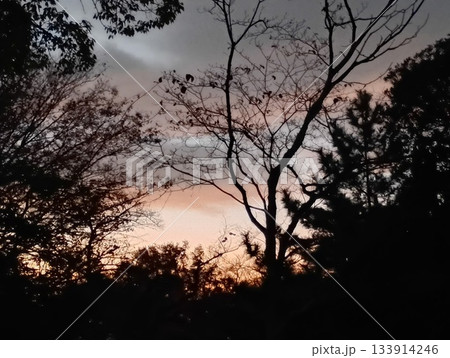 夕闇のしずくが落ちる頃 133914246
