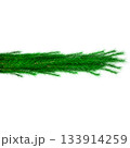 3D Realistic Christmas Garland Made of Evergreen Pine Branch with Green Needles for Decoration 133914259