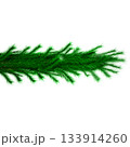 3D Realistic Christmas Garland Made of Evergreen Pine Branch with Green Needles for Decoration 133914260