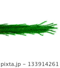 3D Realistic Christmas Garland Made of Evergreen Pine Branch with Green Needles for Decoration 133914261