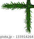 3D Realistic Christmas Fir Branch Corner Made of Evergreen Pine Branch with Green Needles for Decoration 133914264