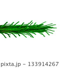3D Realistic Christmas Garland Made of Evergreen Pine Branch with Green Needles for Decoration 133914267