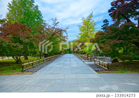 総本山智積院 智積院の参道と紅葉 総本山智積院 智積院の参道と紅葉 133914273