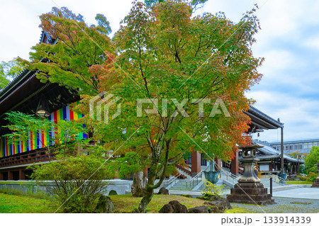 総本山智積院 智積院の紅葉と金堂 総本山智積院 智積院の紅葉と金堂 133914339