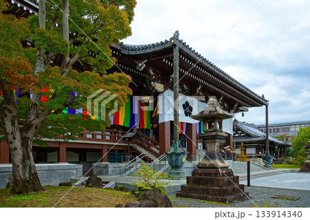 総本山智積院　智積院の紅葉と金堂 133914340