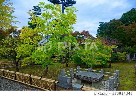 総本山智積院　智積院の参道と紅葉 133914343