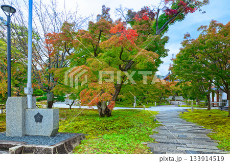 総本山智積院　智積院の境内の紅葉 133914519