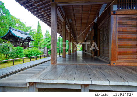 総本山智積院　智積院の講堂と唐門 133914827