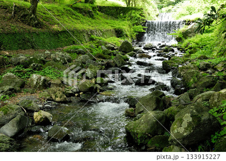 小川の水の流れ 小川の水の流れ 133915227