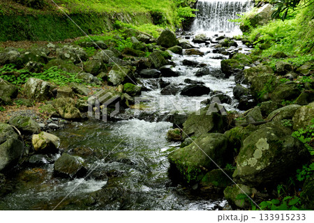 小川の水の流れ 小川の水の流れ 133915233