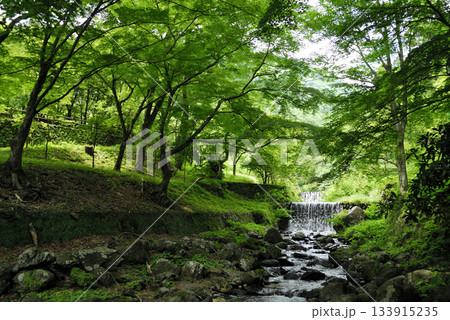 小川の水の流れ 小川の水の流れ 133915235