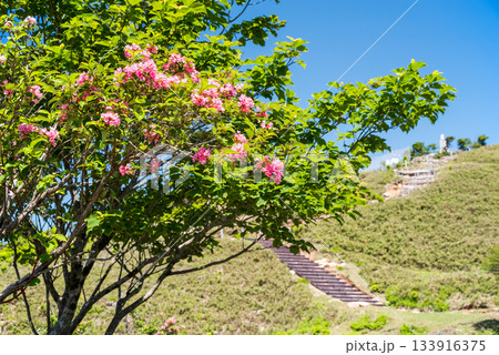 御在所岳山頂 御嶽大権現への遊歩道沿いの風景 133916375