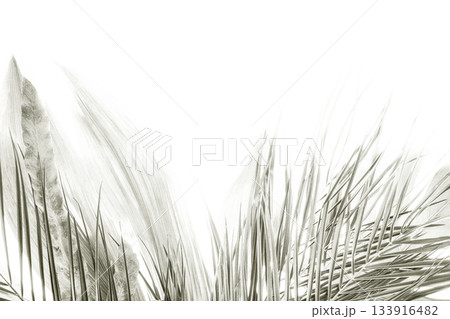 Color of 2026 year dancer in the white cloud 133916482