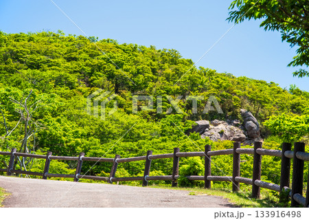 新緑の御在所岳 さわやかな山上風景《三重県 菰野町》 133916498