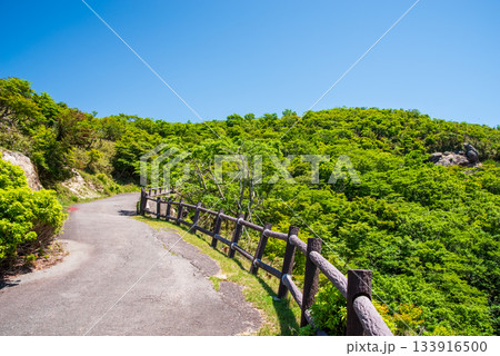 新緑の御在所岳 さわやかな山上風景《三重県 菰野町》 133916500