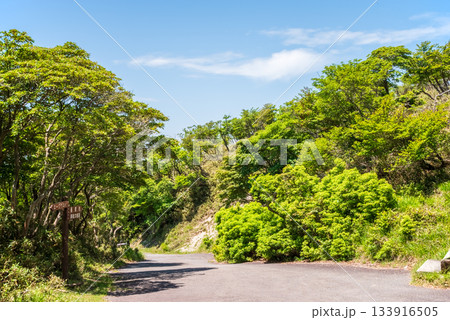 新緑の御在所岳 さわやかな山上風景《三重県 菰野町》 133916505