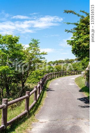 新緑の御在所岳 さわやかな山上風景《三重県 菰野町》 133916515