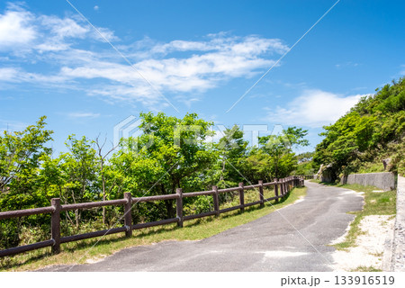 新緑の御在所岳 さわやかな山上風景《三重県 菰野町》 133916519